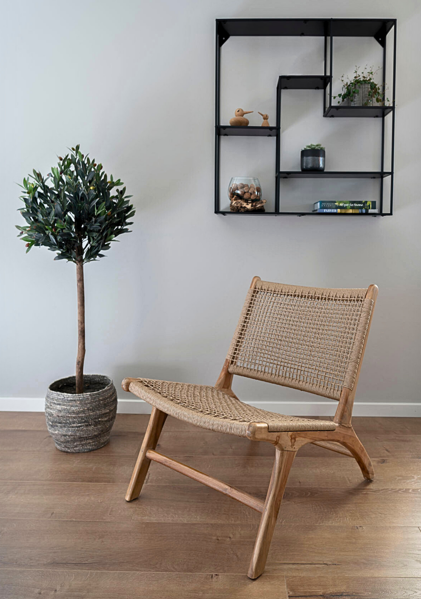 Olive Tree - Elara Maison