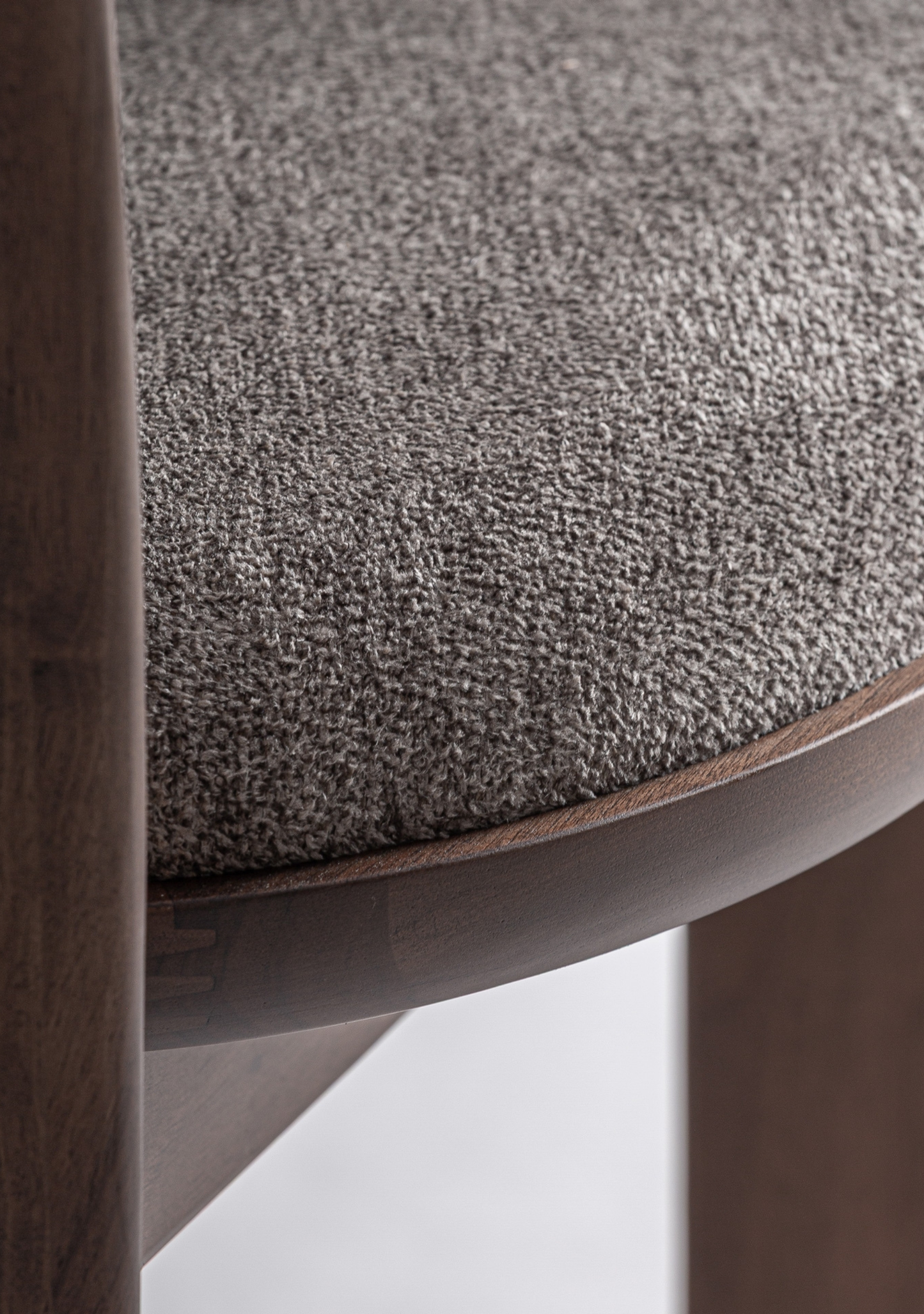 Lorenza Curve Dining Chair