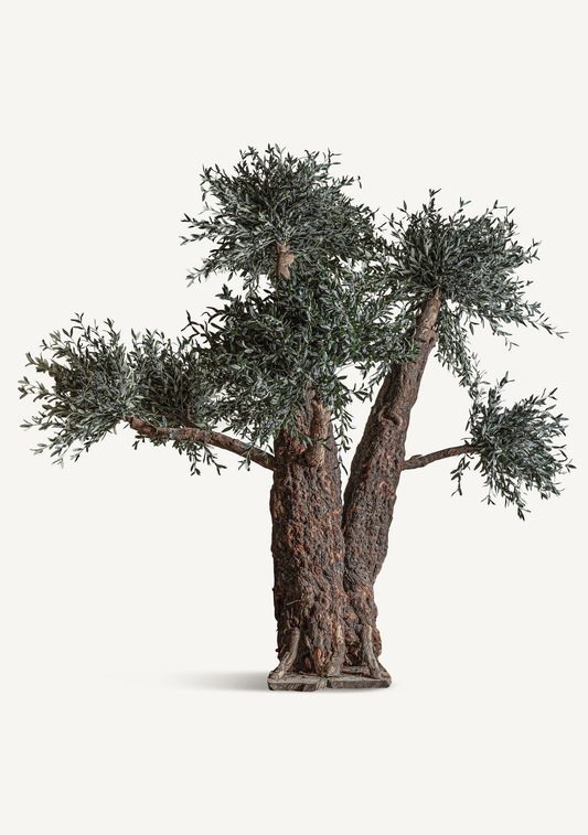 Olivo Statement Olive Tree – Green & Natural Wood - Elara Maison