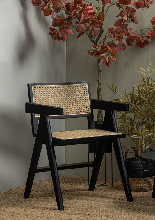 Gunn Dining Chair – Rattan & Black Wood