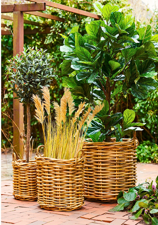 Burton Baskets - Elara Maison