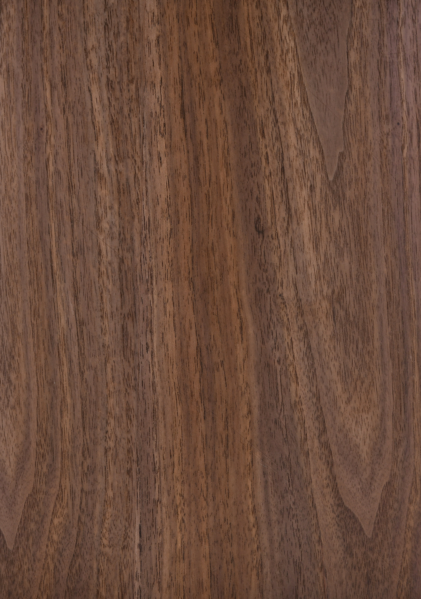 Noli Round Coffee Table – Ceramic & Ash FSC®