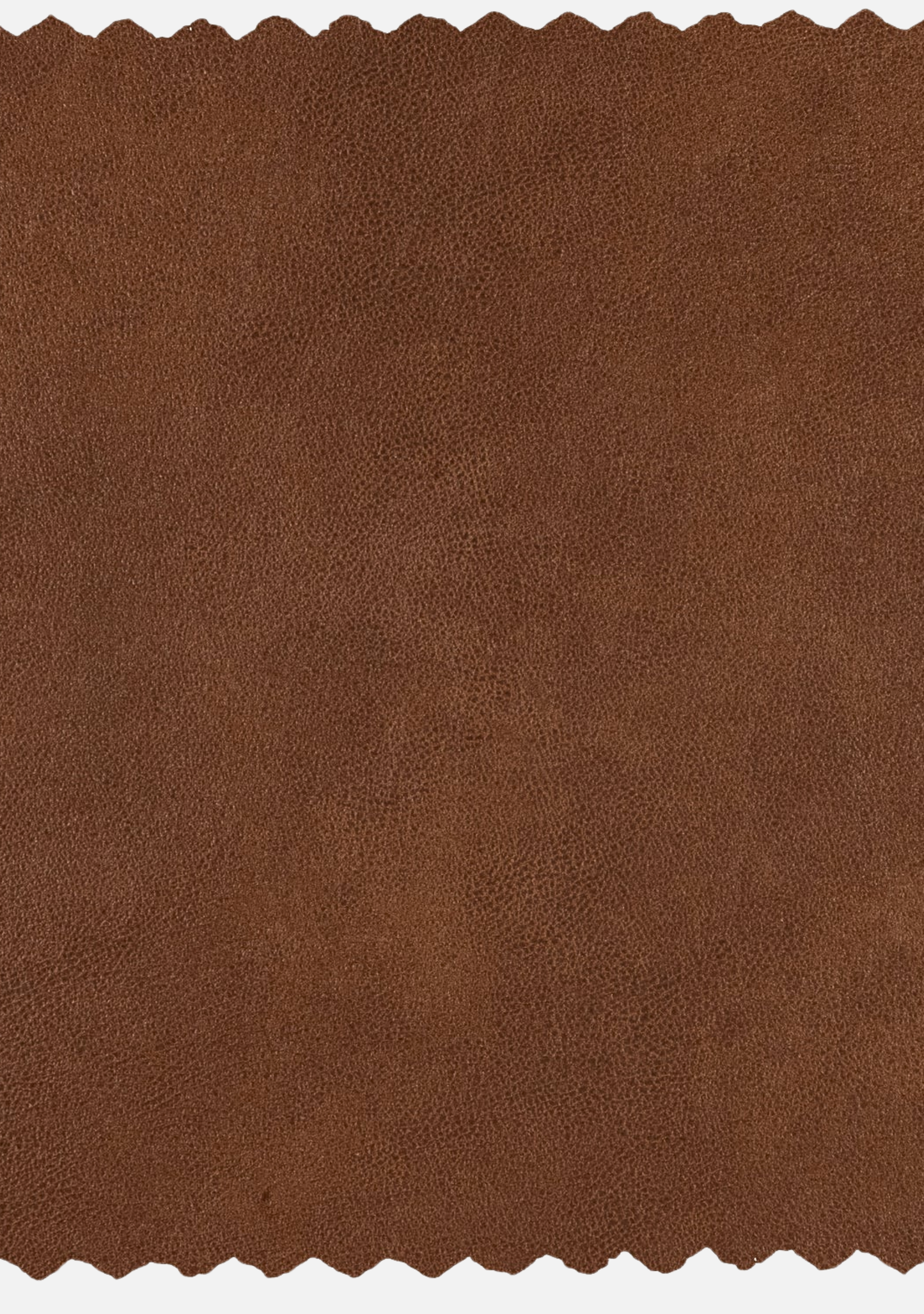 Erklärung des Vorsitzenden