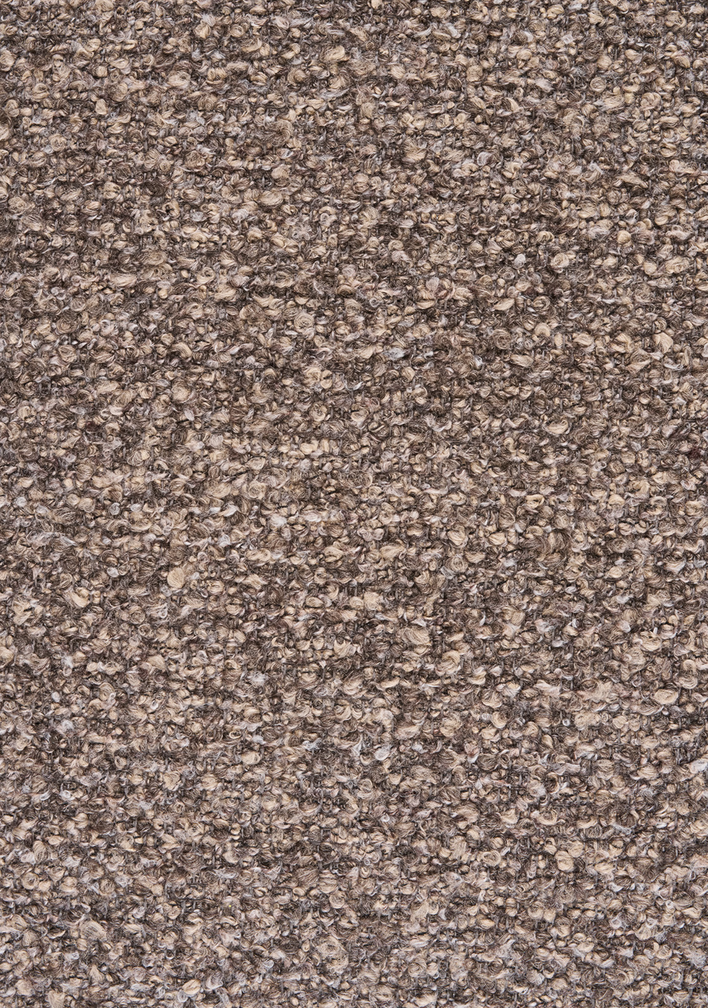 Aurora Sofa with 2 Cushions - Elara Maison