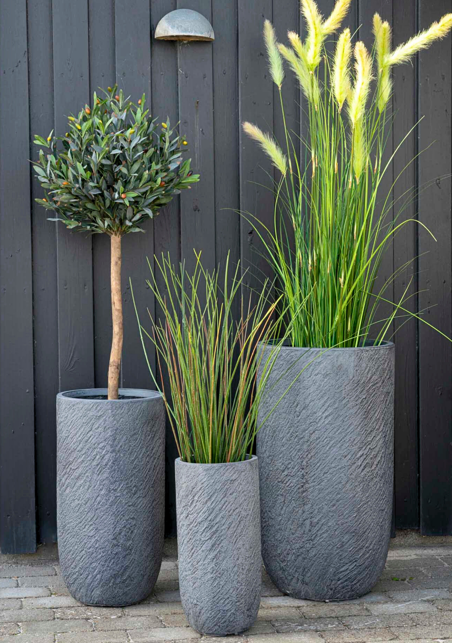 Olive Tree - Elara Maison