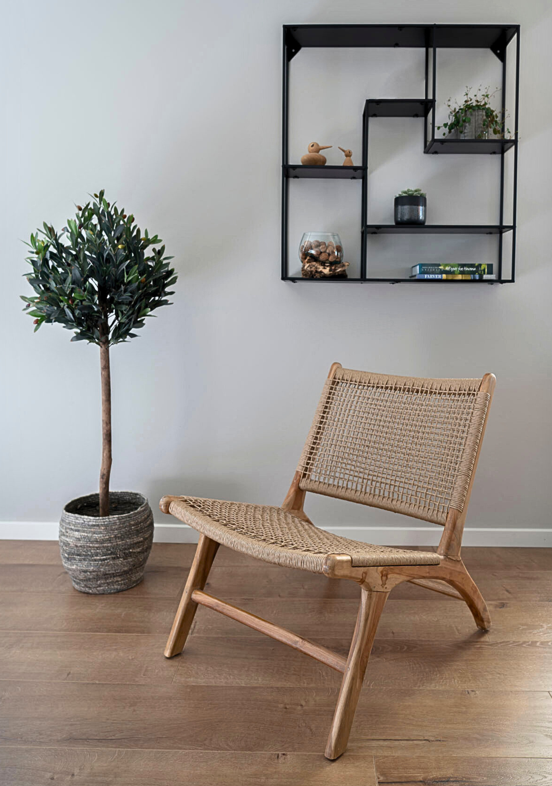 Olive Tree - Elara Maison