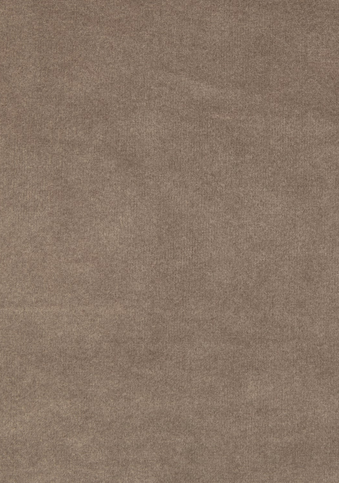 Admit Dining Chair Set of 2