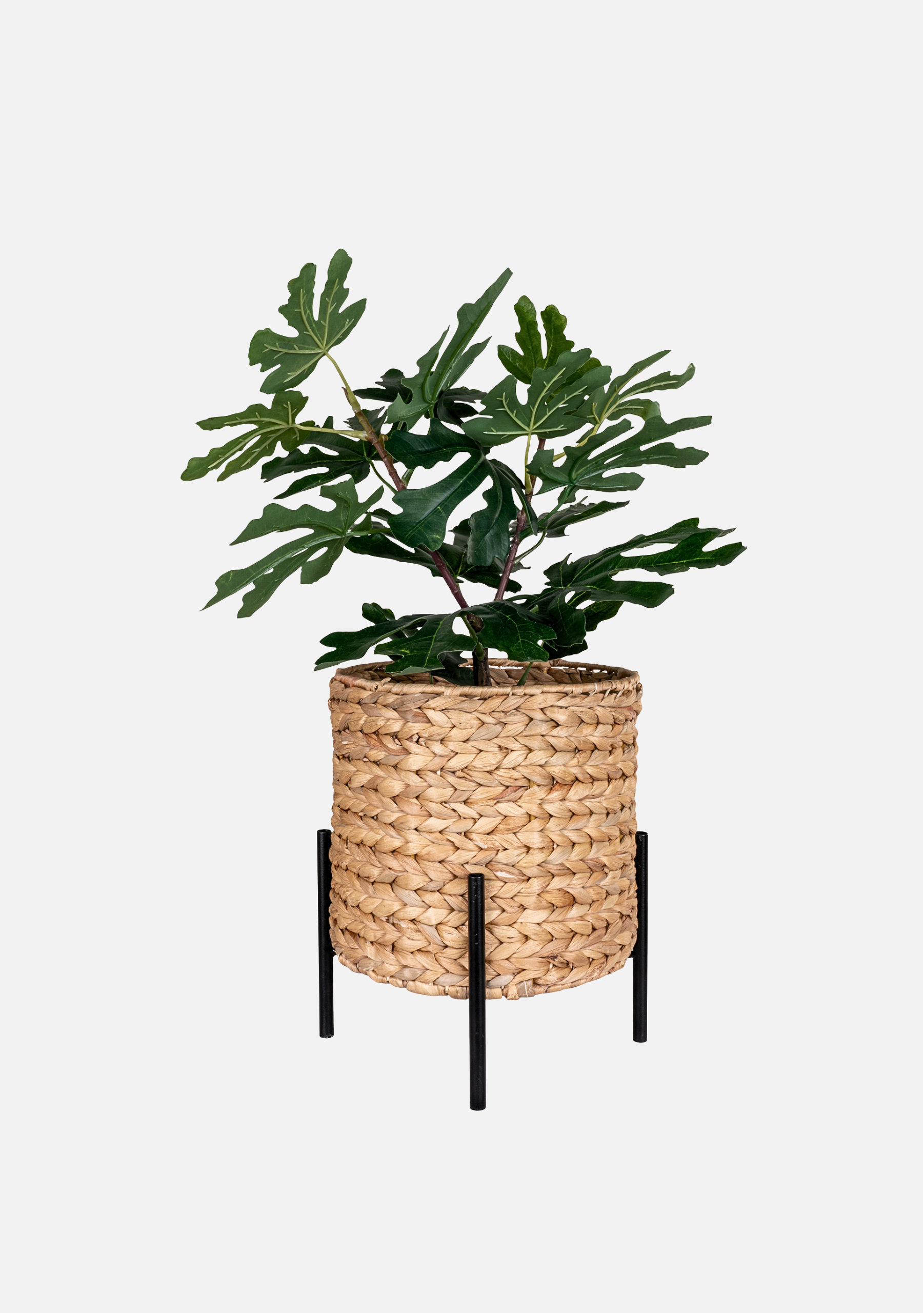Antas Flowerpot - Elara Maison