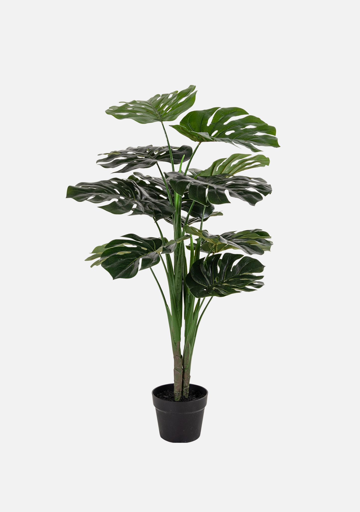 Monstera - Elara Maison