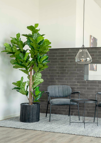 Fiddle Leaf Tree - Elara Maison