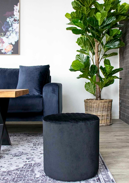 Fiddle Leaf Tree - Elara Maison