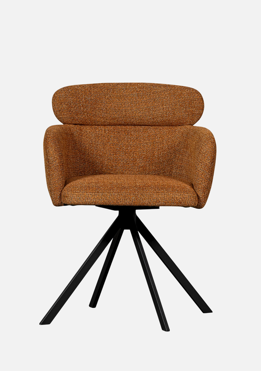 Fenne Dining Chair Set of 2