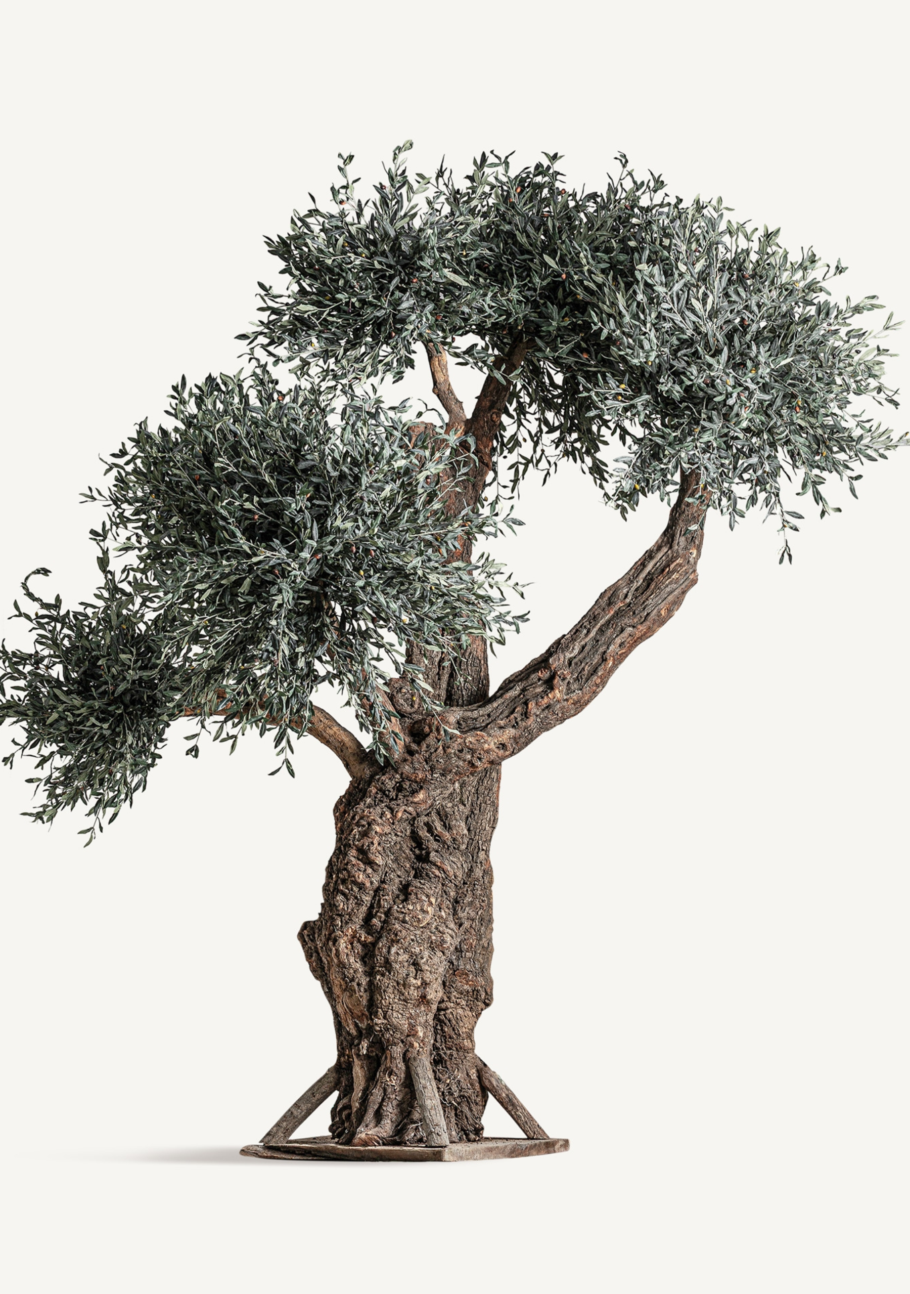 Olivo Statement Olive Tree – Green & Natural Wood - Elara Maison