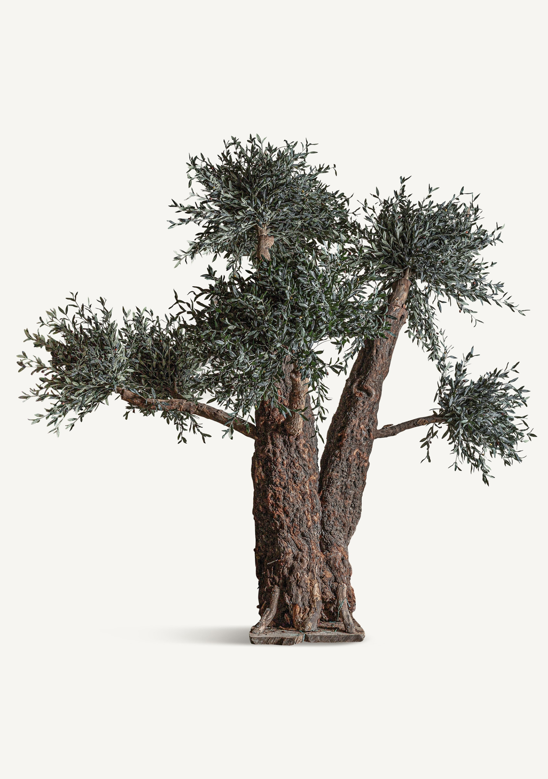 Olivo Statement Olive Tree – Green & Natural Wood - Elara Maison