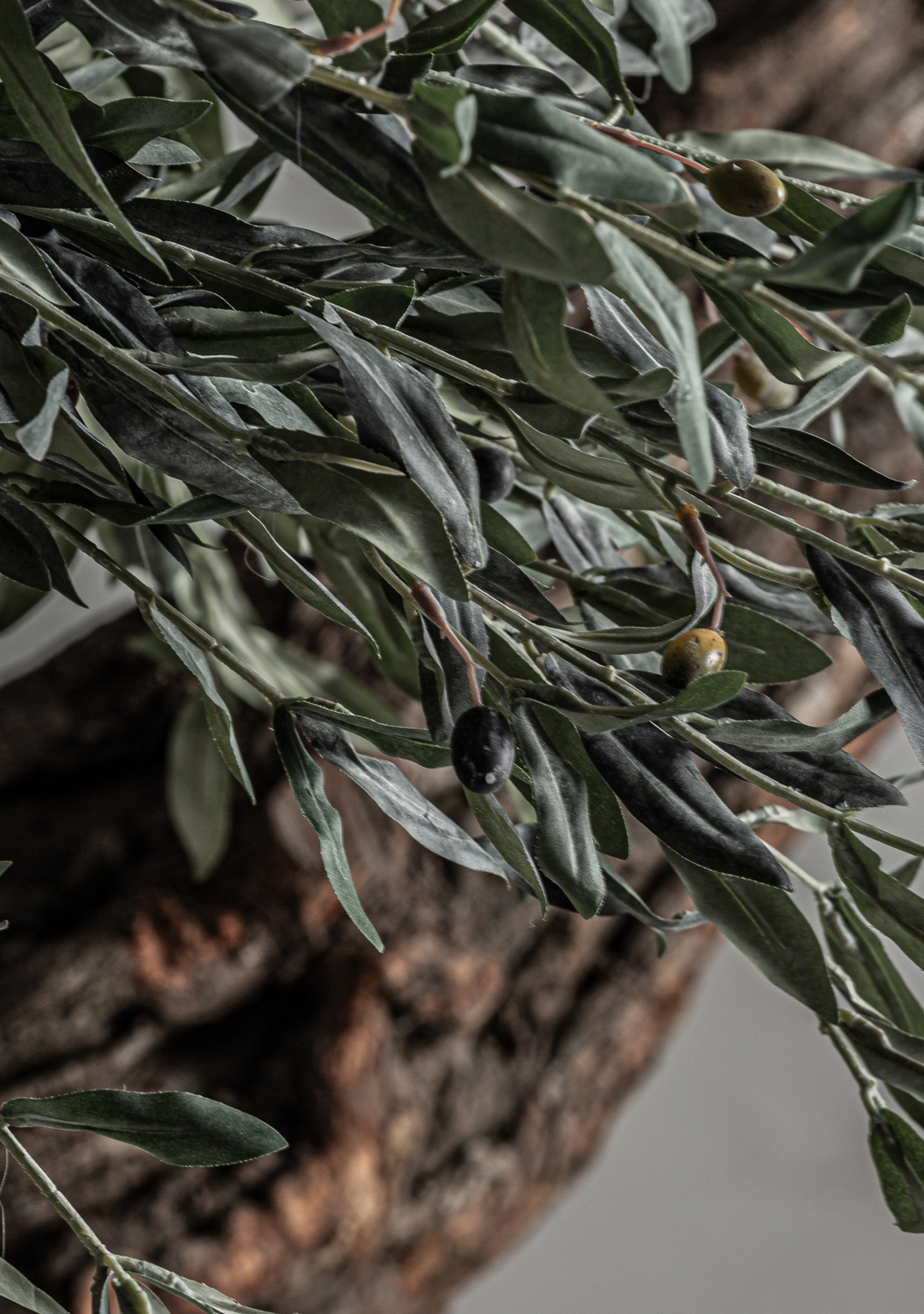 Olivo Statement Olive Tree – Green & Natural Wood - Elara Maison