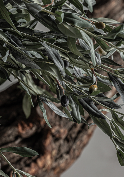 Olivo Statement Olive Tree – Green & Natural Wood - Elara Maison