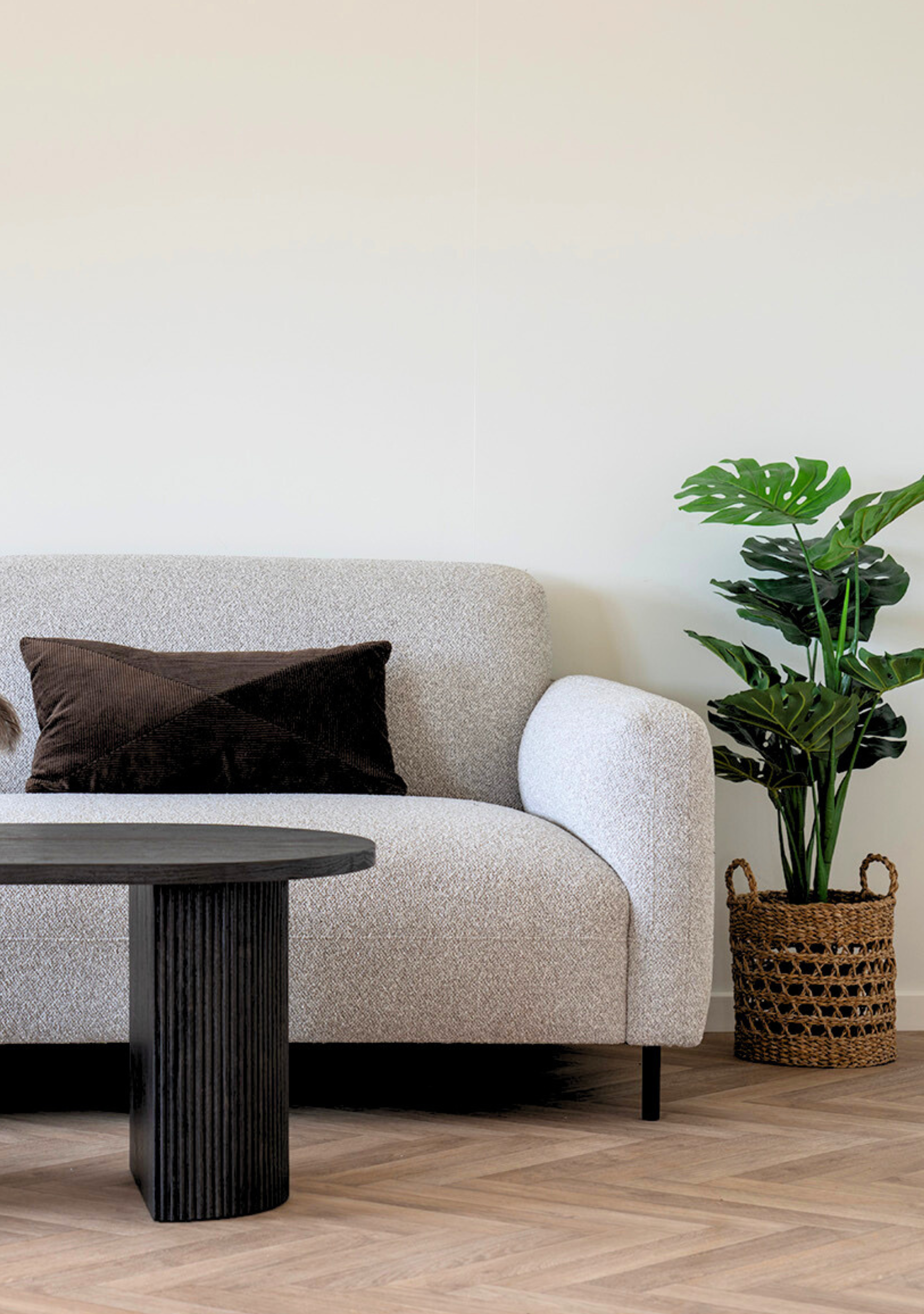 Salvador - Elara Maison