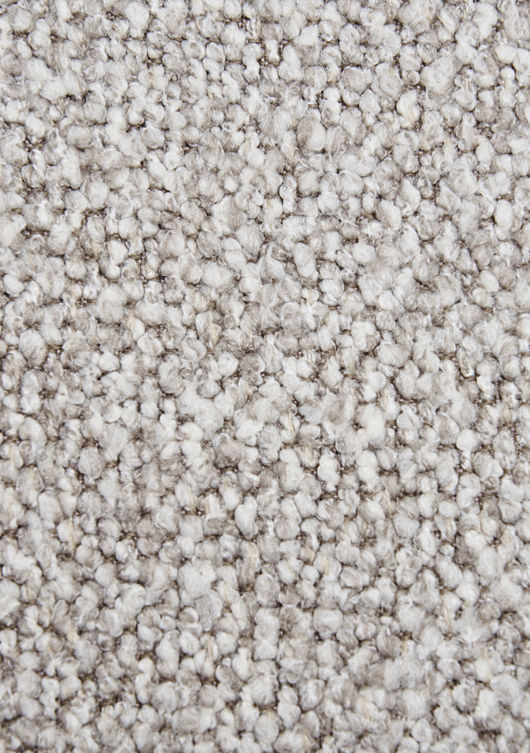 Salvador - Elara Maison