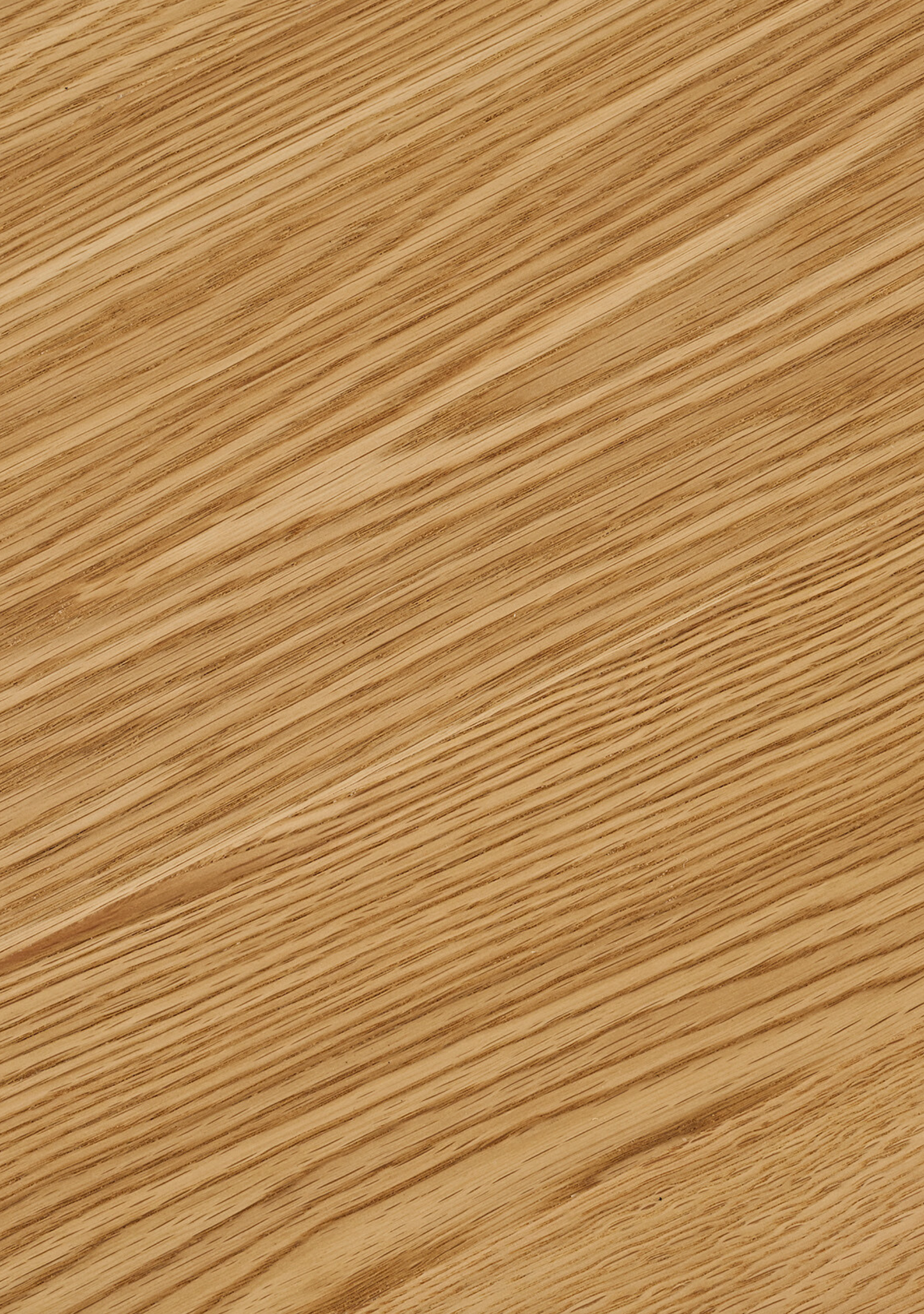 Darwin Dining Table - Elara Maison