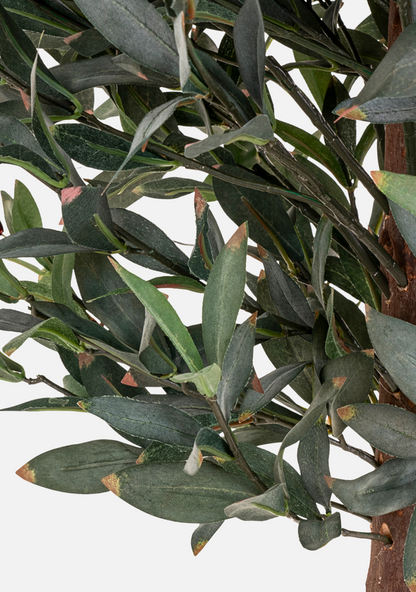 Olive Tree - Elara Maison