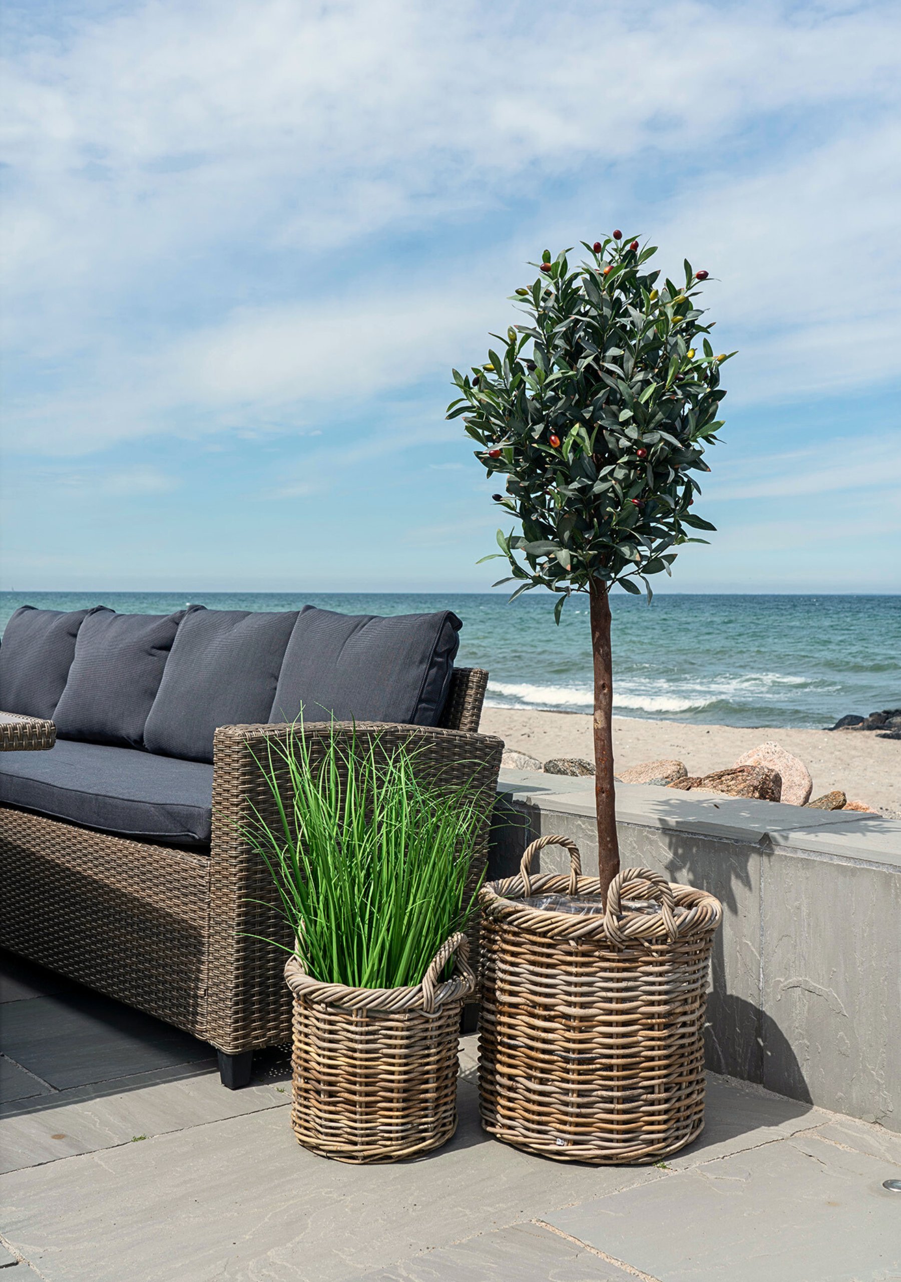 Olive Tree - Elara Maison