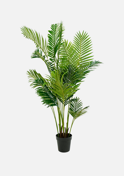 Areca Palm - Elara Maison