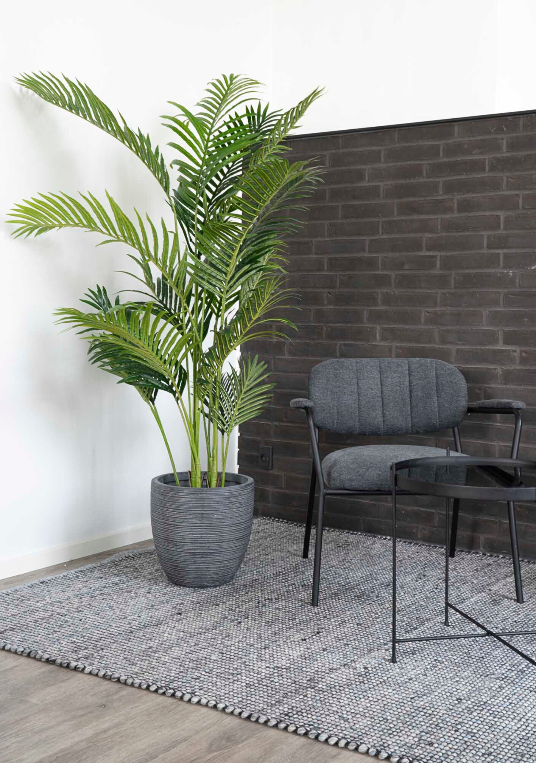 Areca Palm - Elara Maison