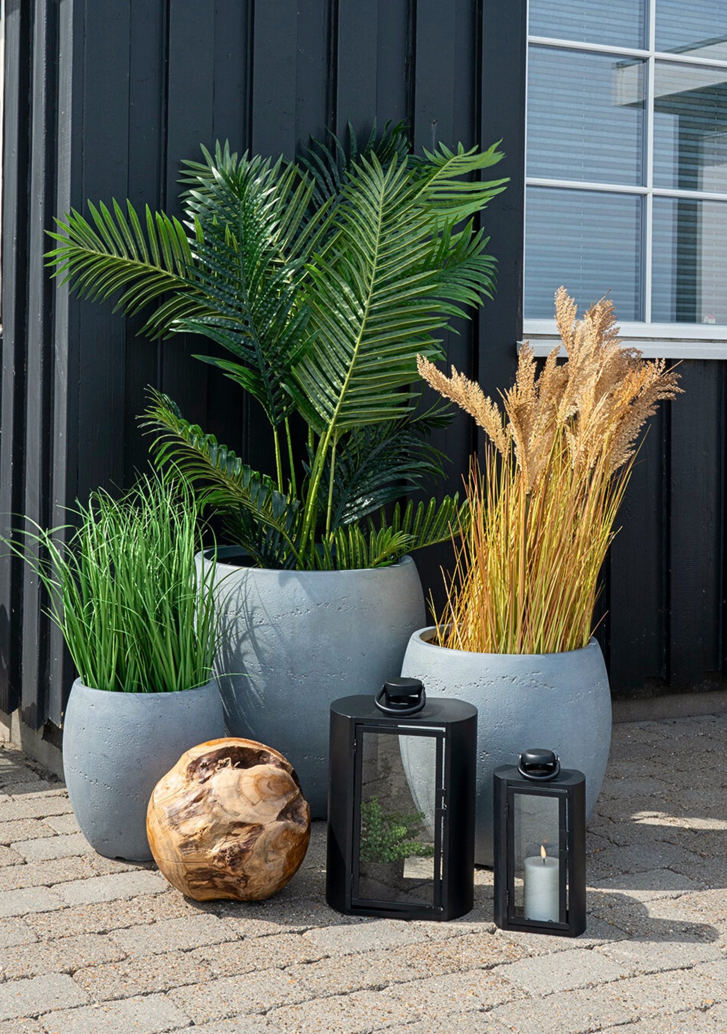 Areca Palm - Elara Maison