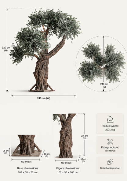 Olivo Tree